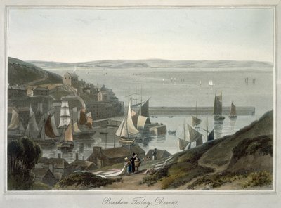 Brixham, Torbay, Devon, da Volume VIII di 